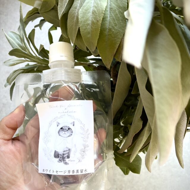 2025.8限定【nikohako】ホワイトセージ 芳香蒸留水 100ml