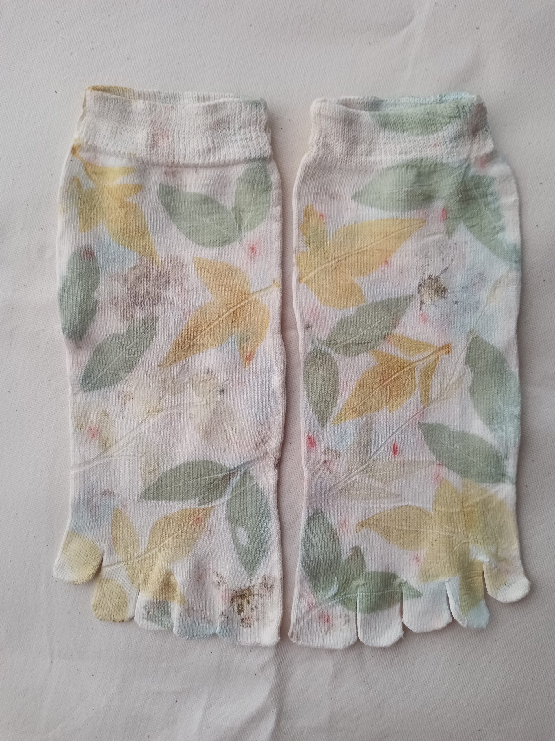 藍、センダングサ、つゆ草、イヌタデ