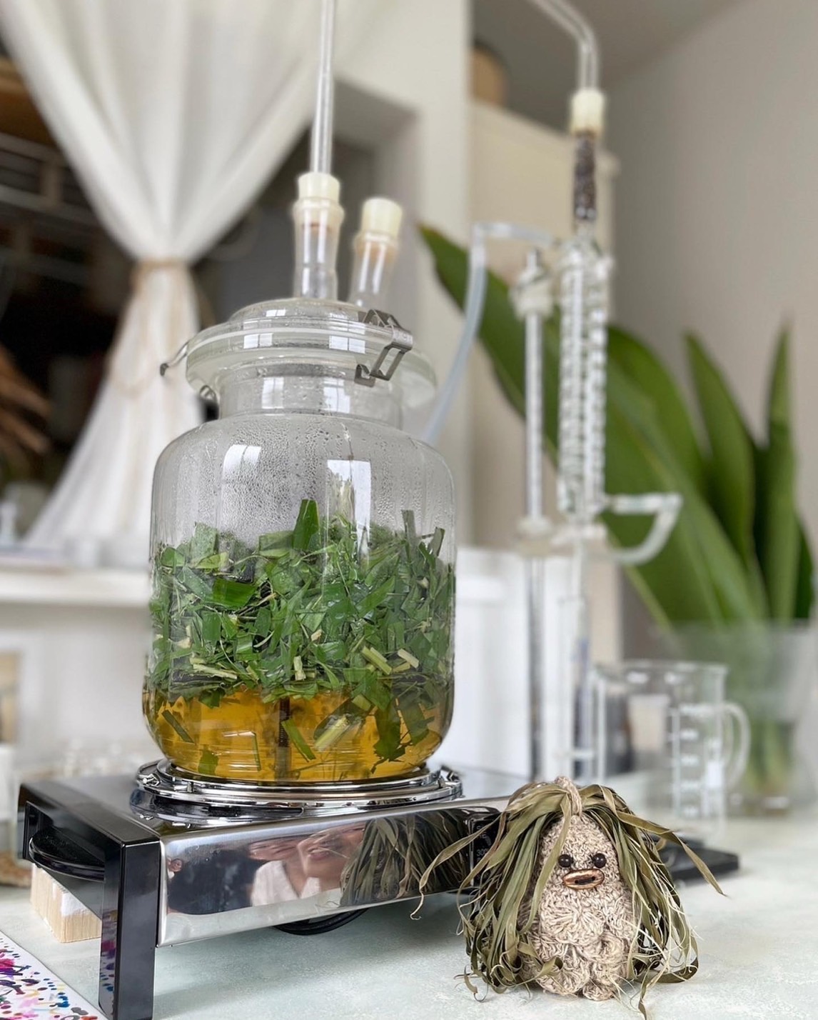 月桃 芳香蒸留水