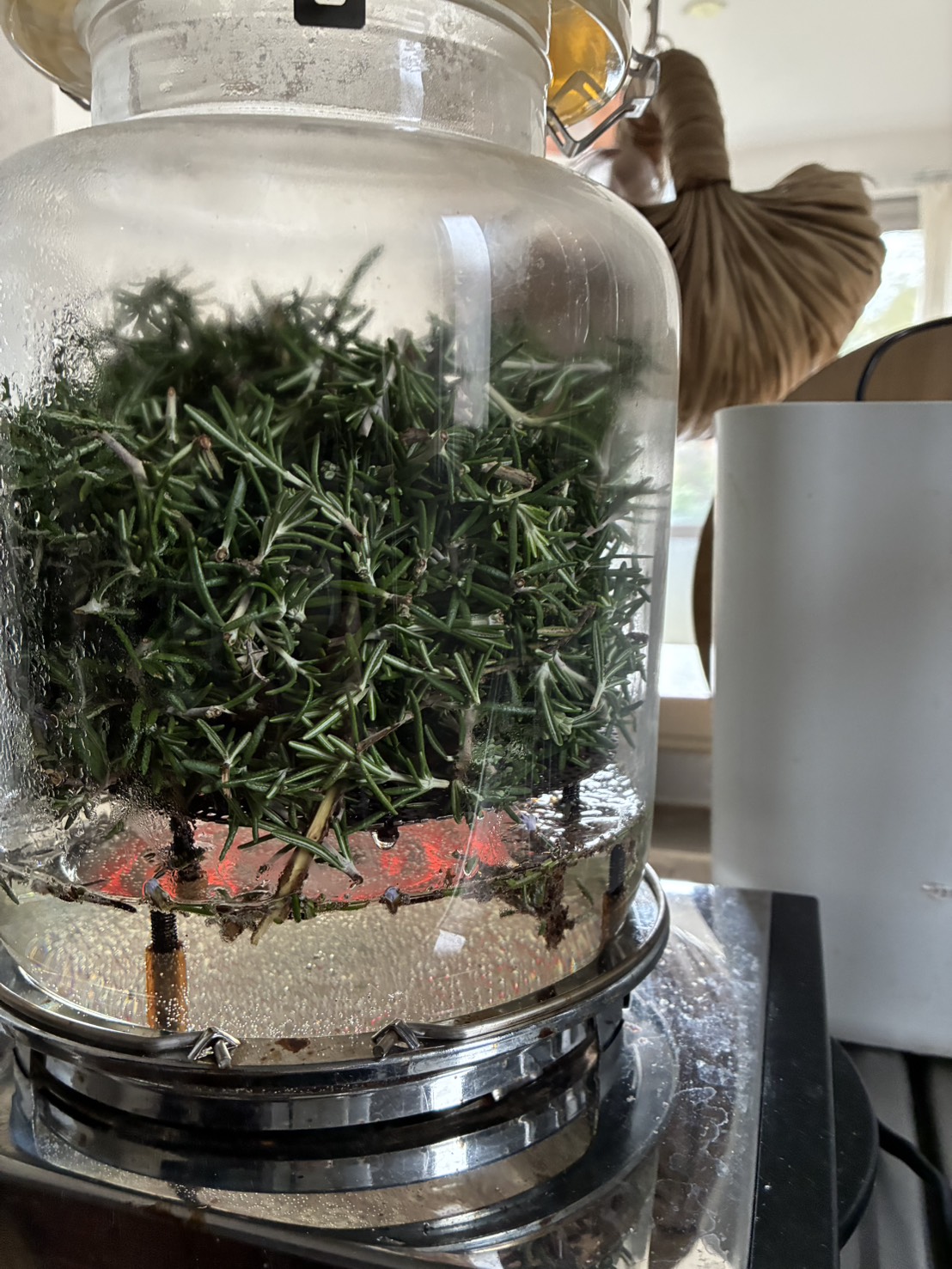 ローズマリー芳香蒸留水