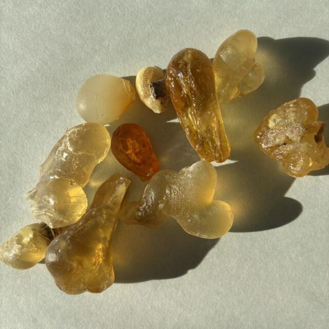 フランキンセンス（乳香）・ロイヤルホジャリグリーン芳香蒸留水