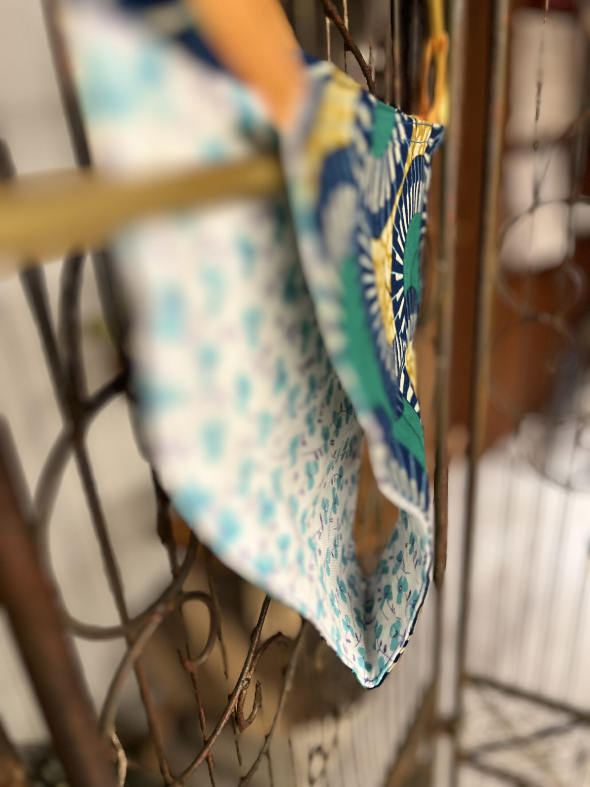 りゅうずぱんつ　002