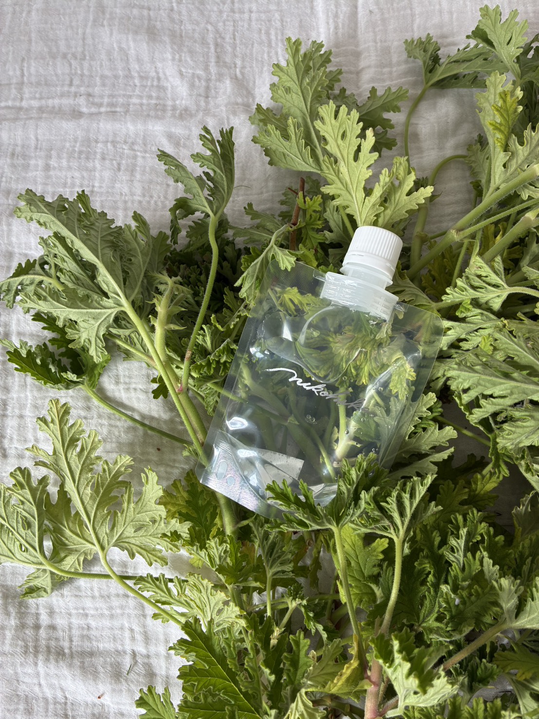 芳香蒸留水・定期便