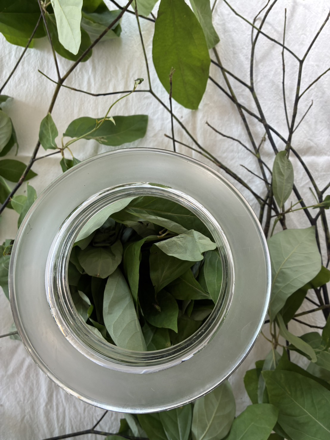 芳香蒸留水・定期便