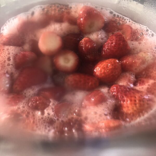 2026.2限定【nikohako】いちご芳香蒸留水 100ml【限定3本】