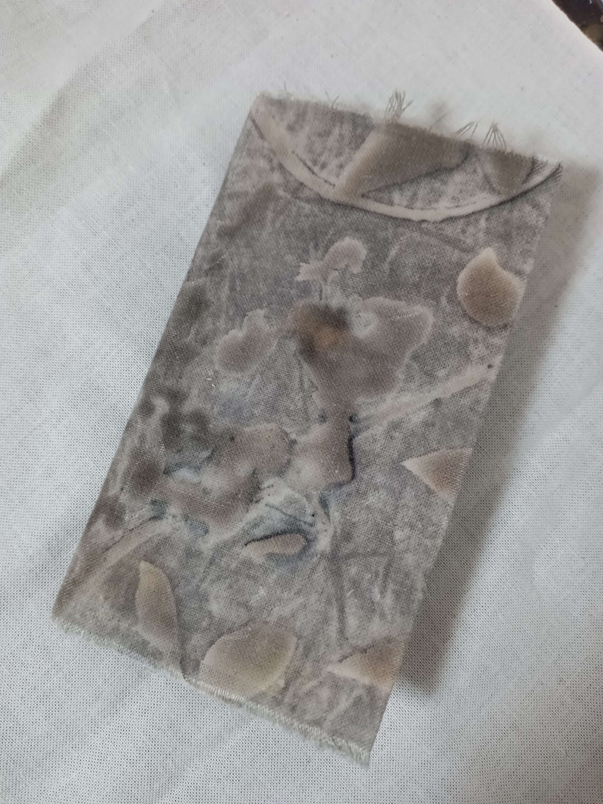 手帳　あっち側の影