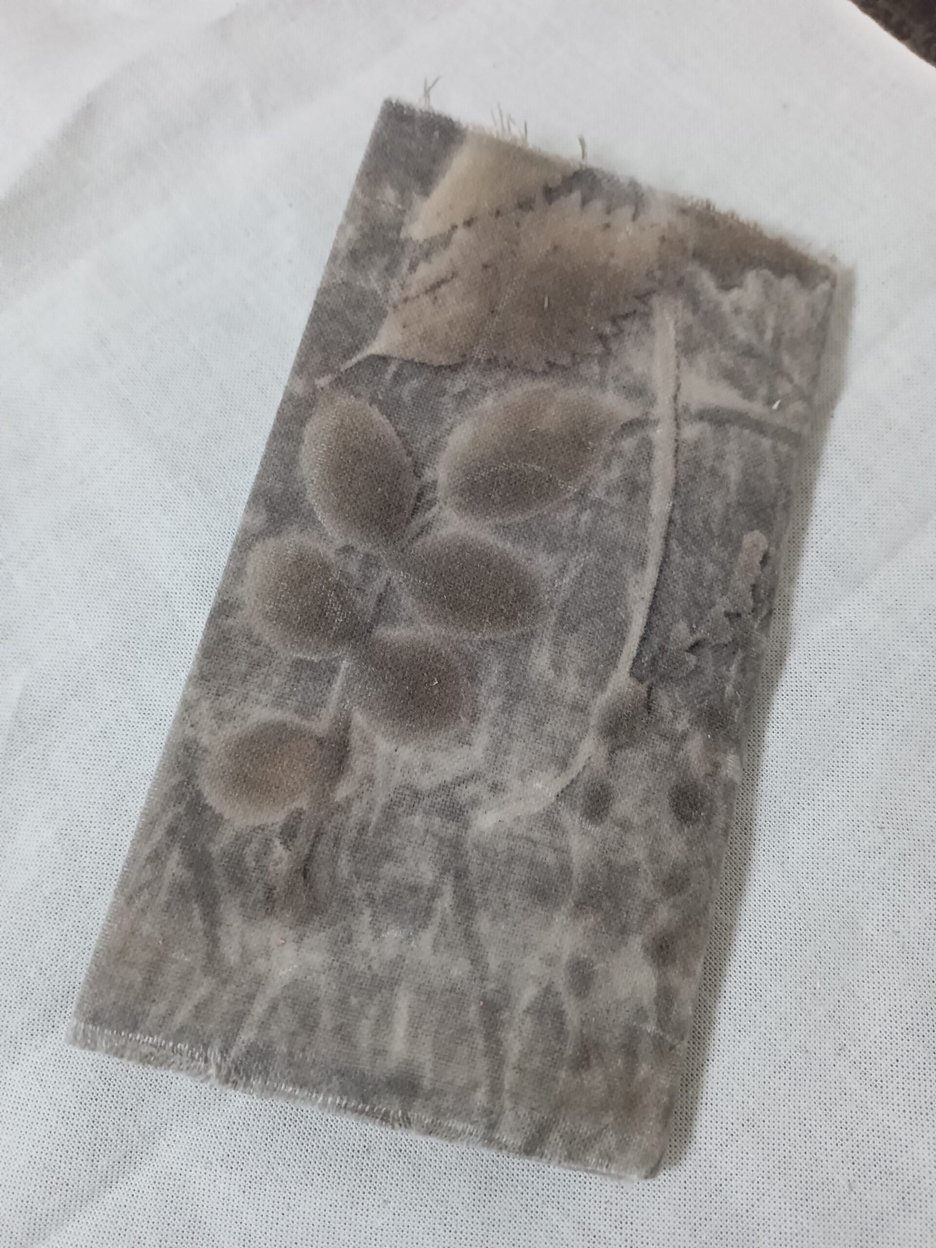 手帳　あっち側の影