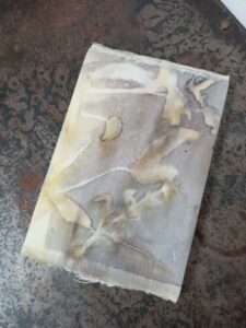 ノート　乙女の詩