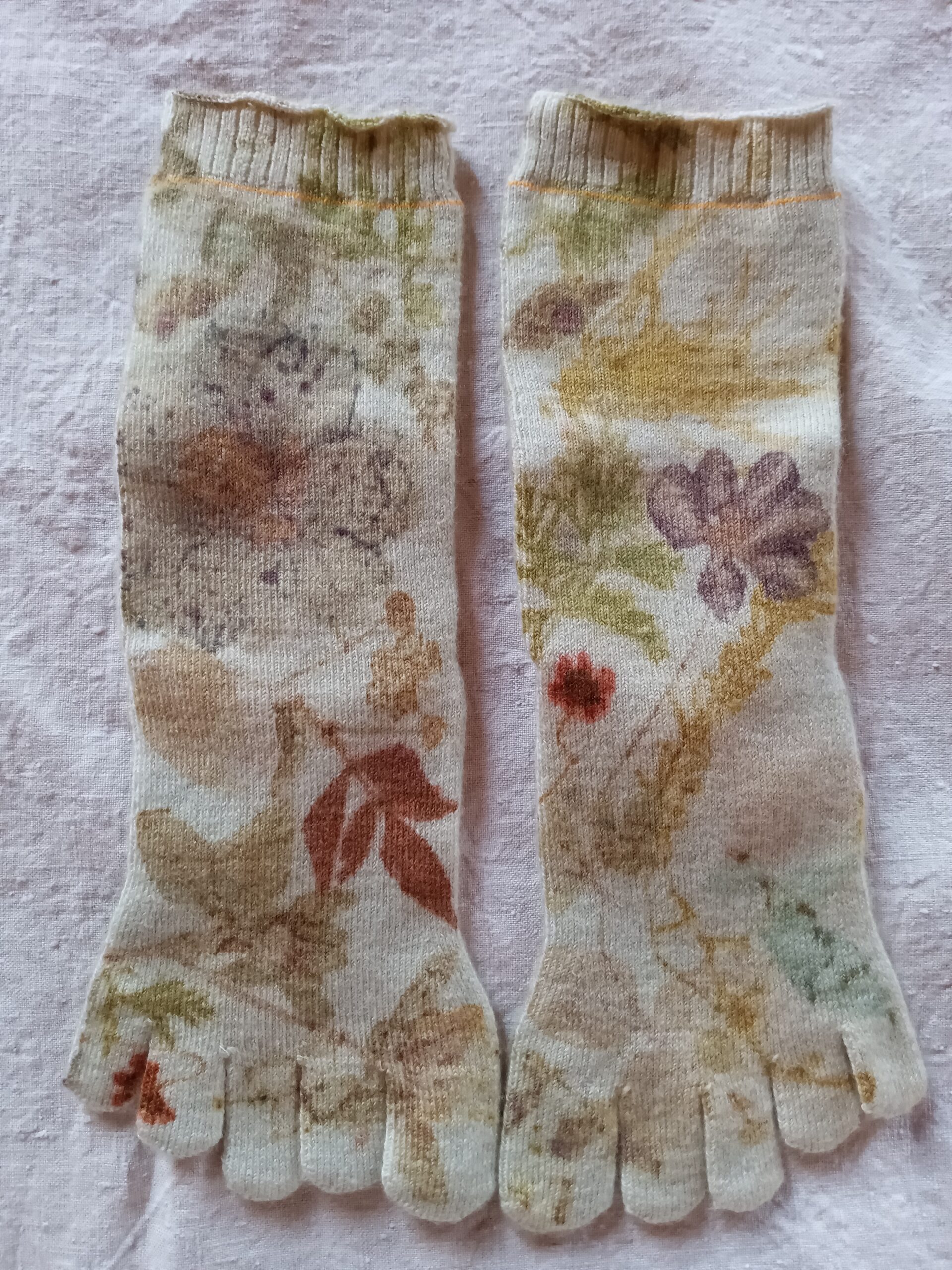 穏やかな曇りの日